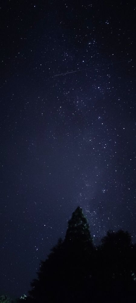 Photograph by Andrew Becker