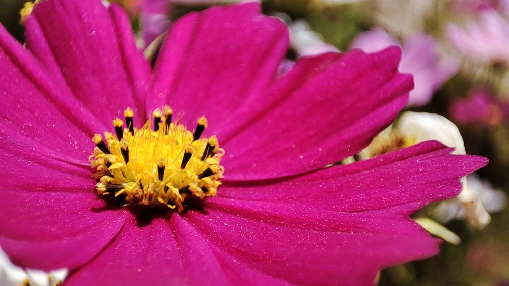 Photograph by Andrew Becker