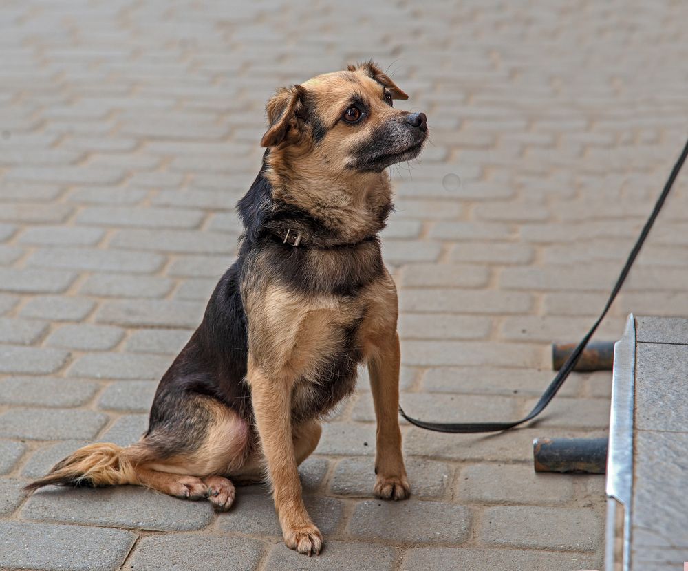 Photograph by Давид Тетельман