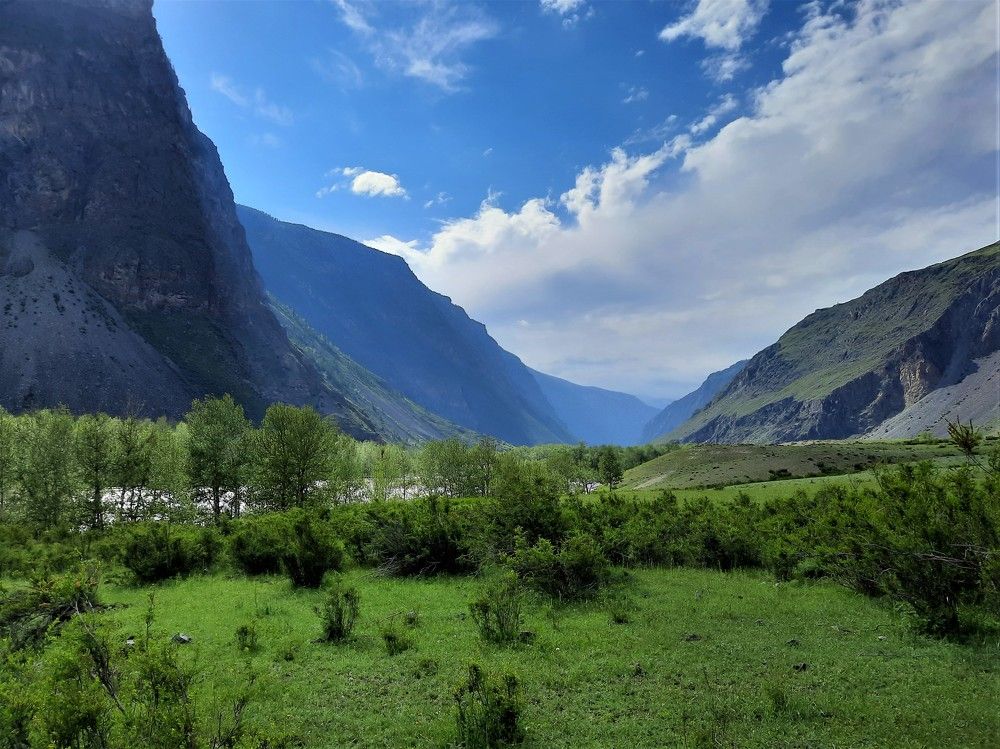 Фотография автора Елена Пикатова