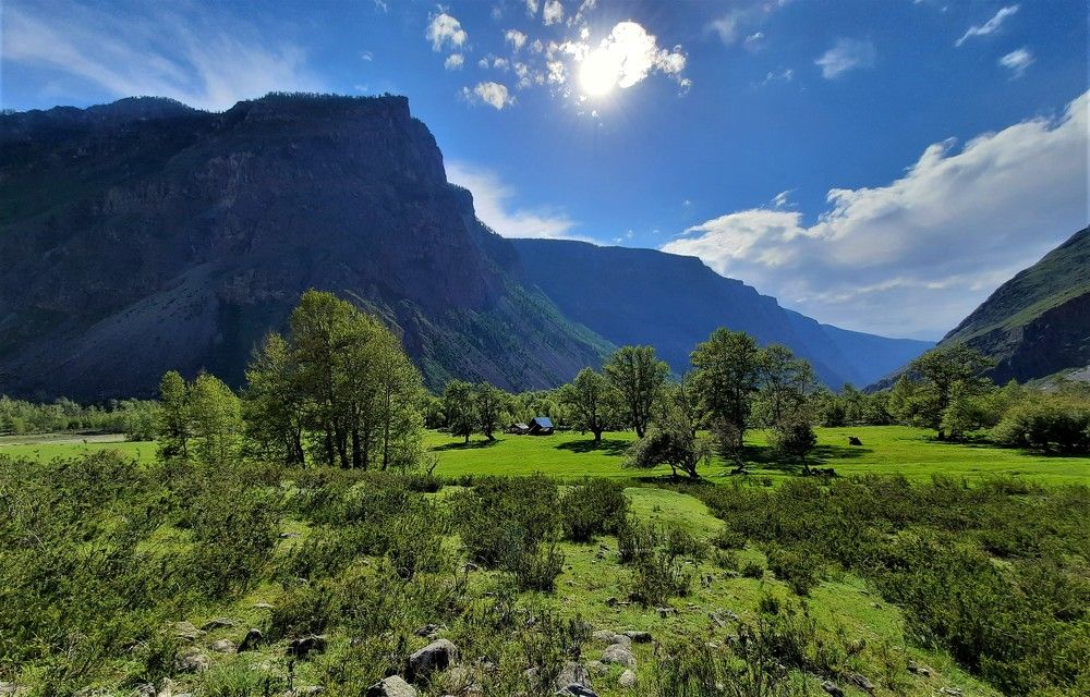 Фотография автора Елена Пикатова