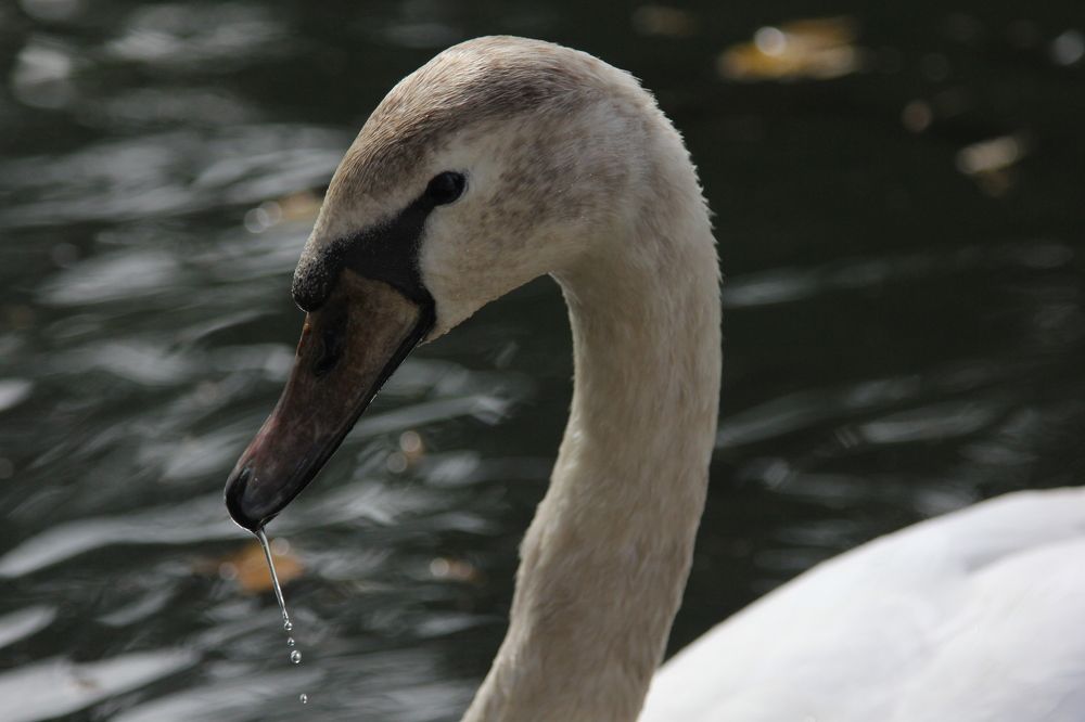 Photograph by Андрей Головин