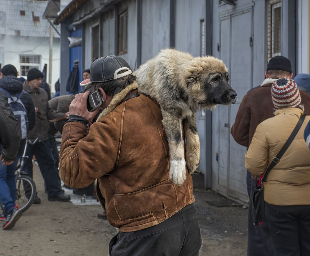 Купил щеночка.