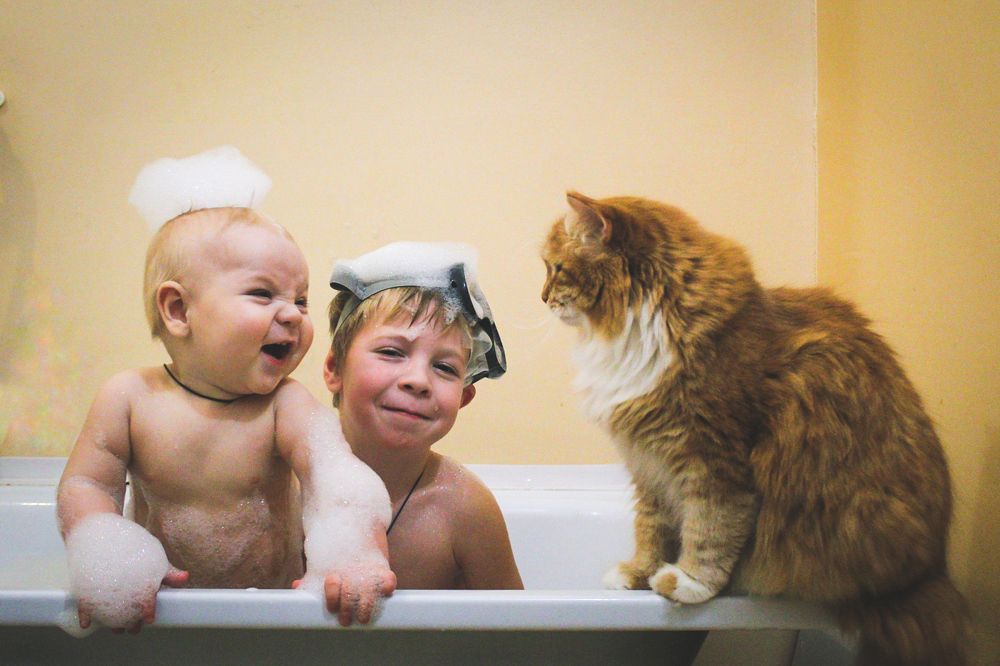 Photograph by Екатерина Андросова