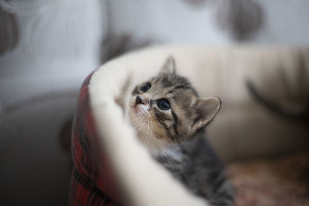 Photograph by Elena Kostochkina