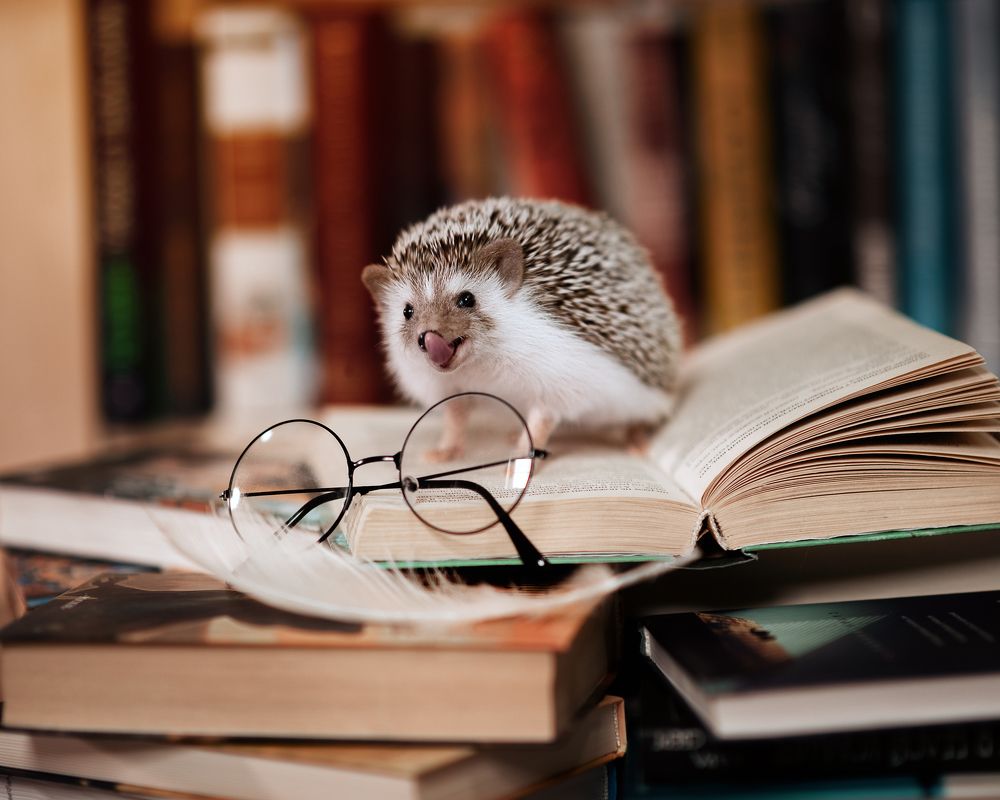 Photograph by Алина Аристова