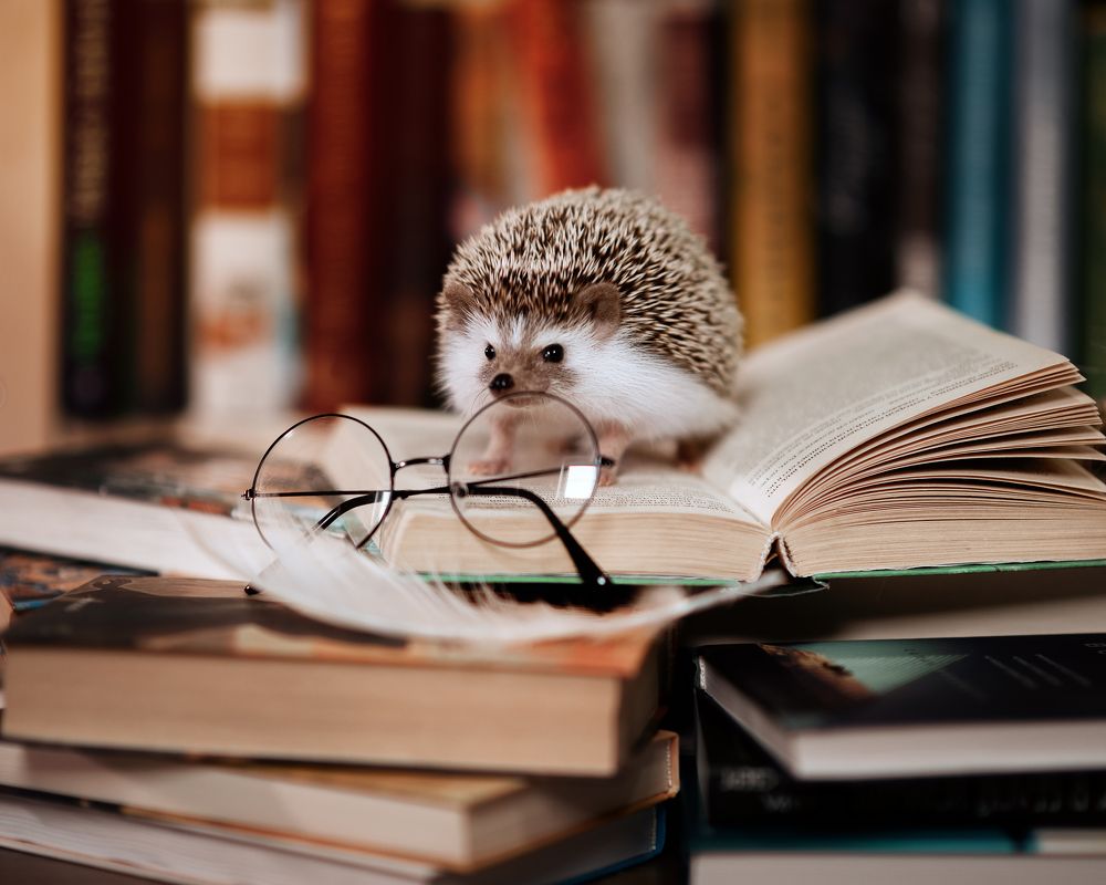 Photograph by Алина Аристова