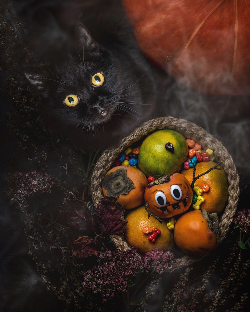 Photograph by Елена Данилушкина