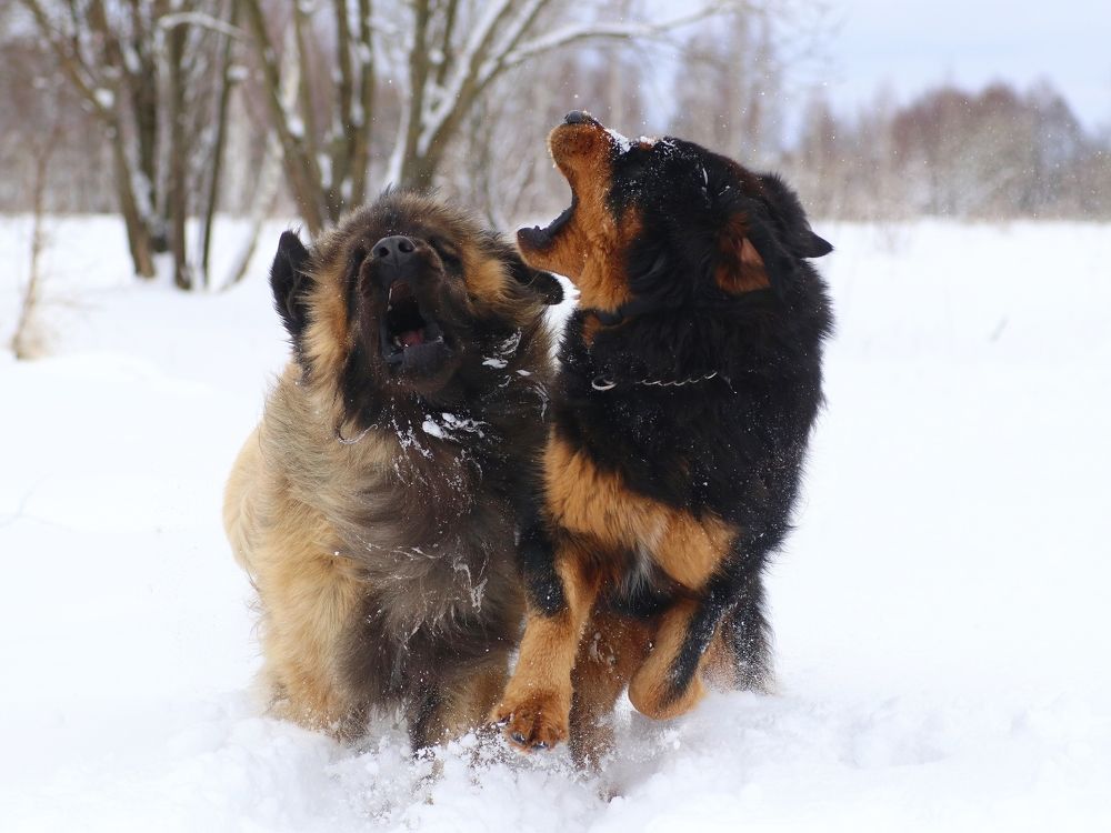 Photograph by Светлана Богомолова