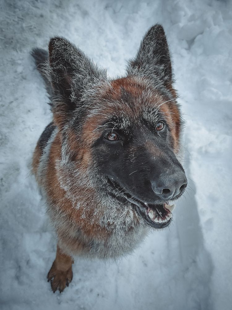 Photograph by Роман Рыбочкин