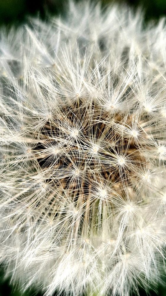 Фотография автора Kiss Gabor