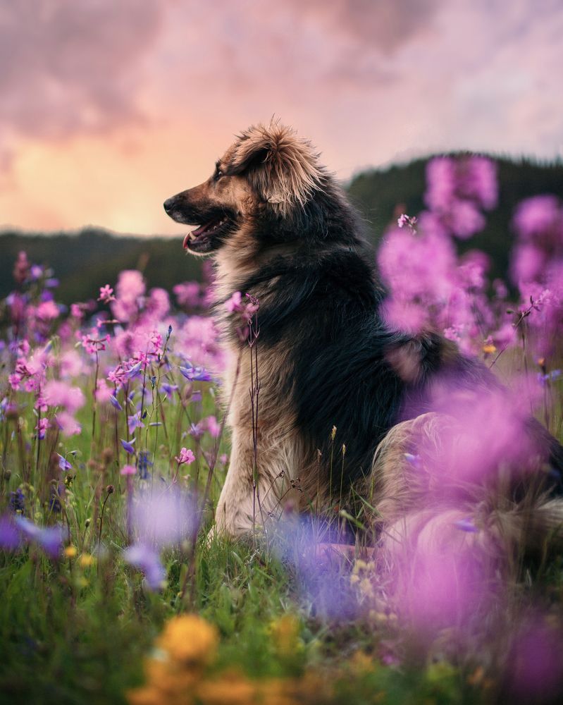 Photograph by Demir Pepic