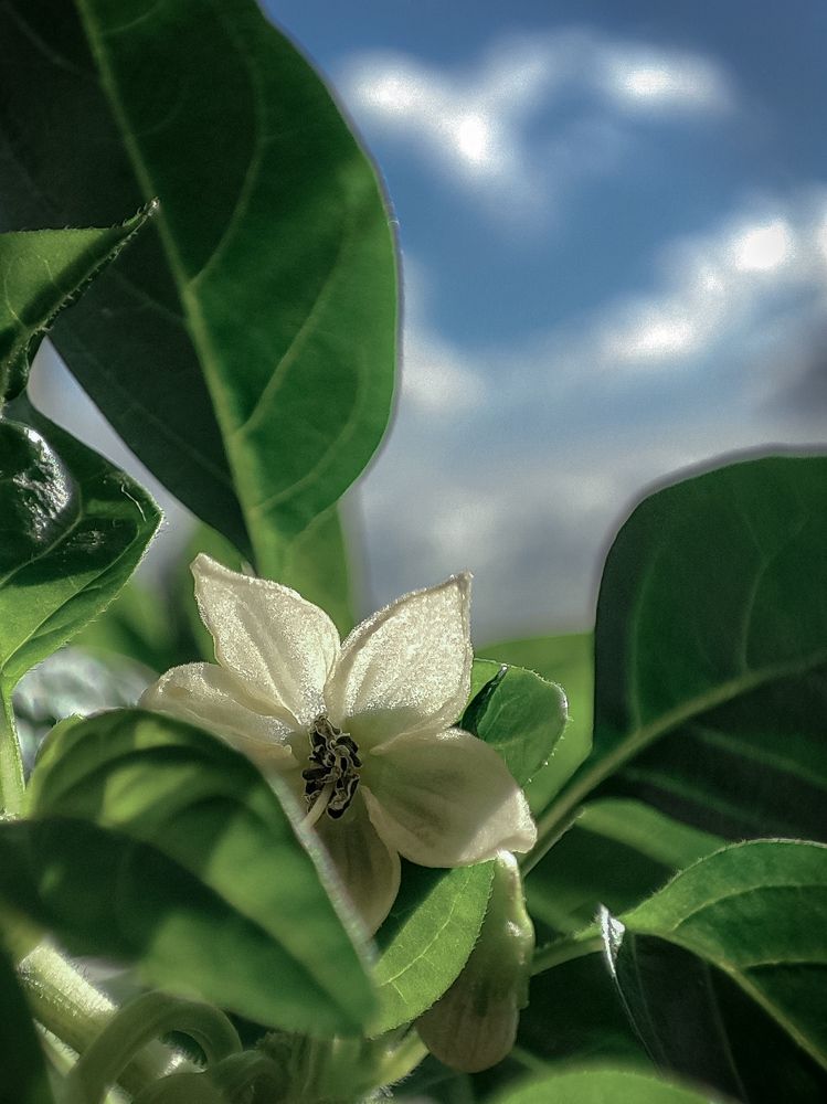 Фотография автора Ольга Савочкина