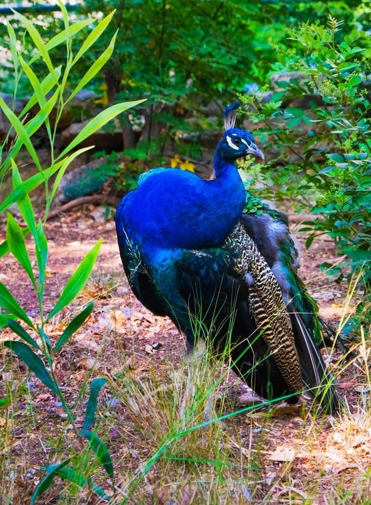 Фотография автора Ольга Забрянская