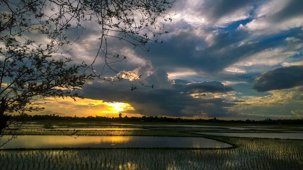 Photograph by Kamal Bhattacharjya