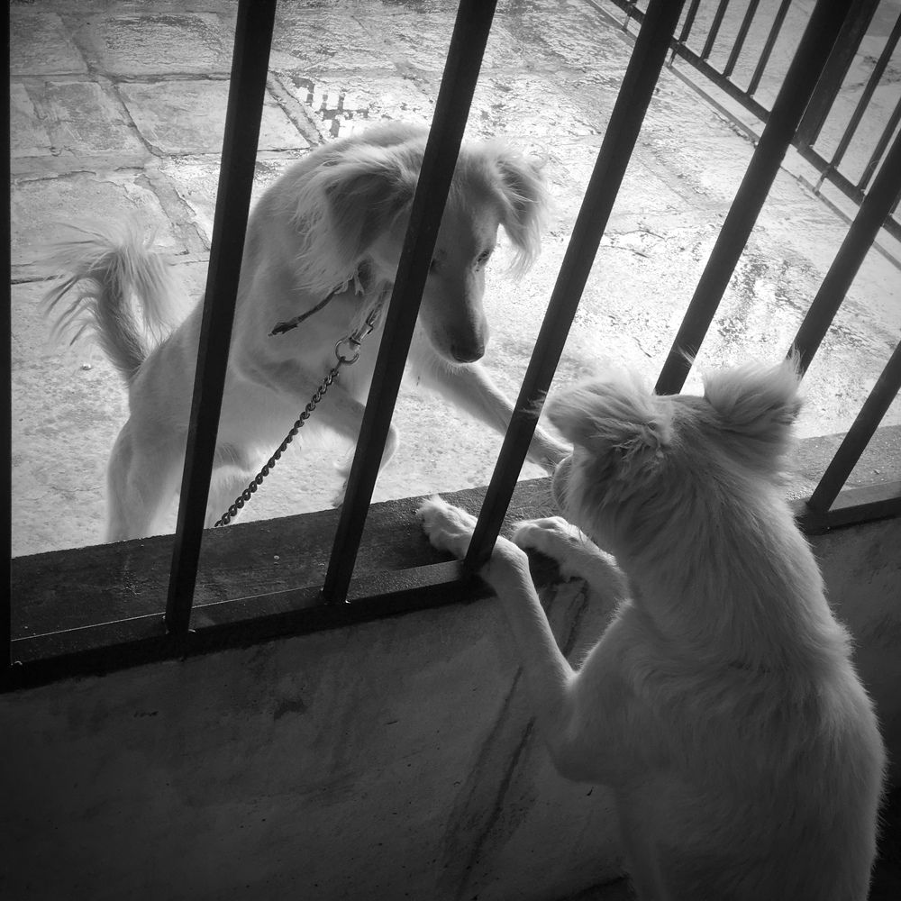 The invisible Mirror