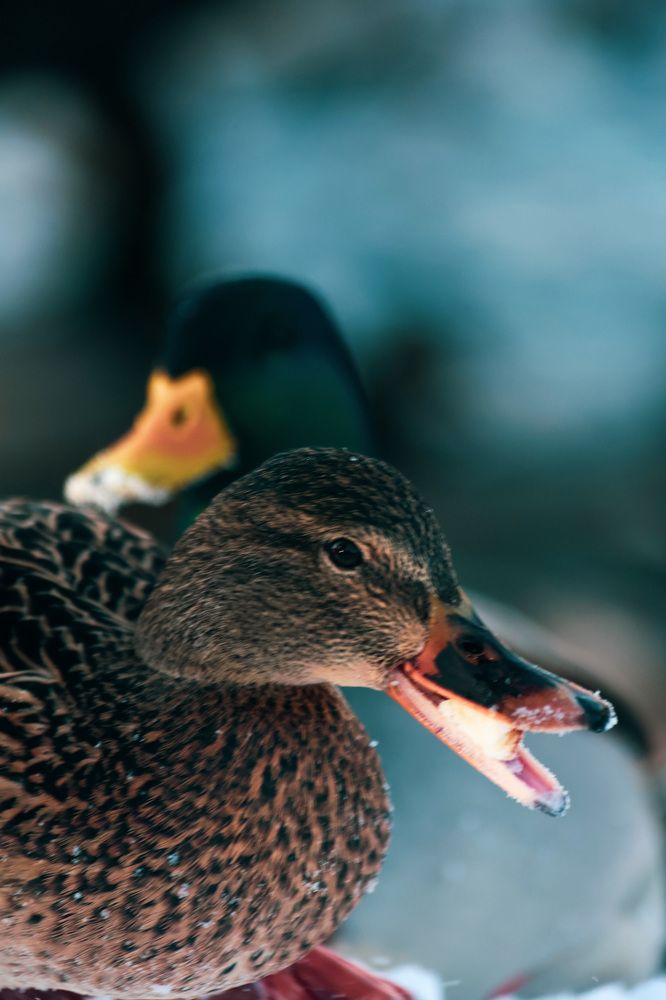 Photograph by Антон Ляпунов