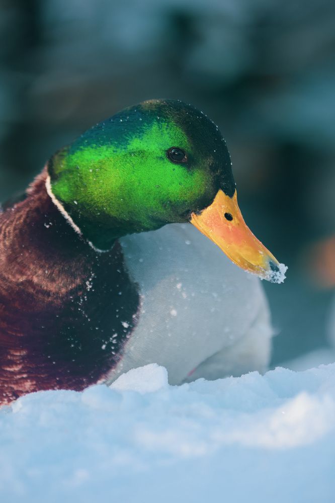 Photograph by Антон Ляпунов