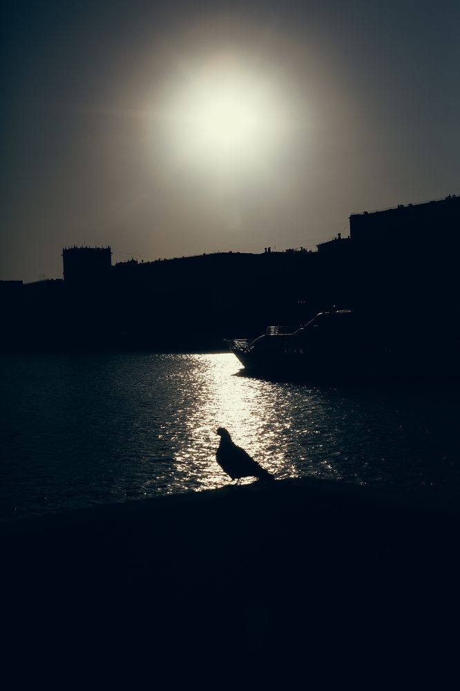 Photograph by Антон Ляпунов