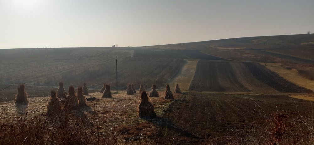 Фотография автора Pertti Palviainen