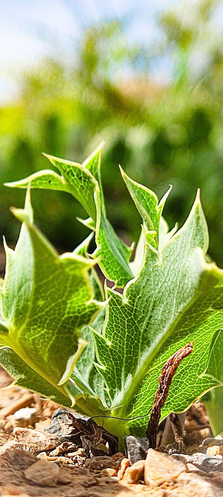 Photograph by Rami Ben gerga