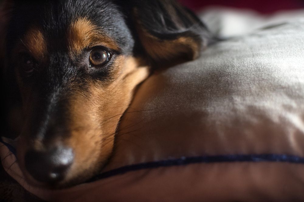 Photograph by Элла Алексеева