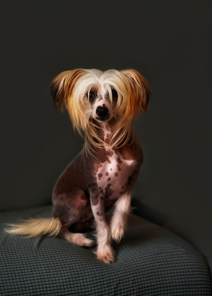 Photograph by Irina Nadolska