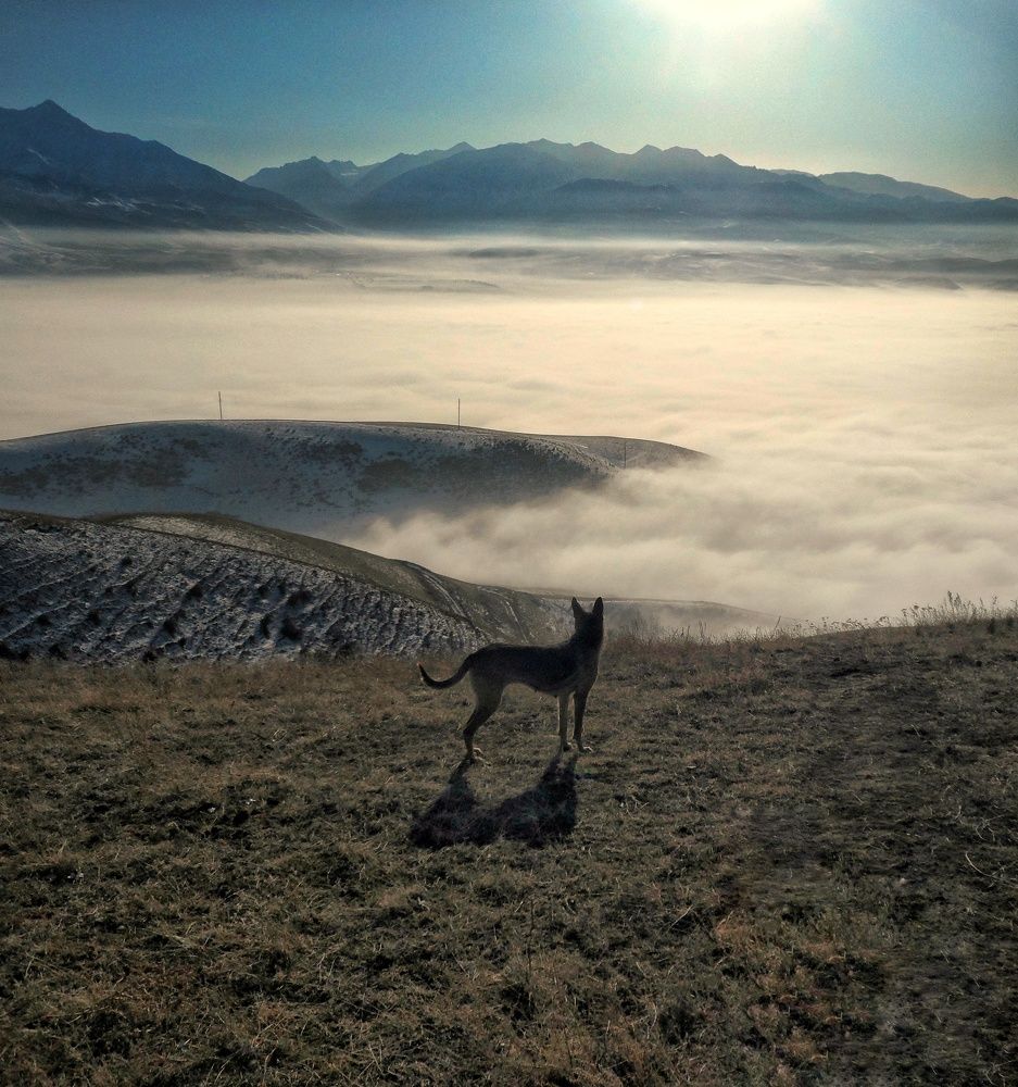 Photograph by Орынбек Асилбаев