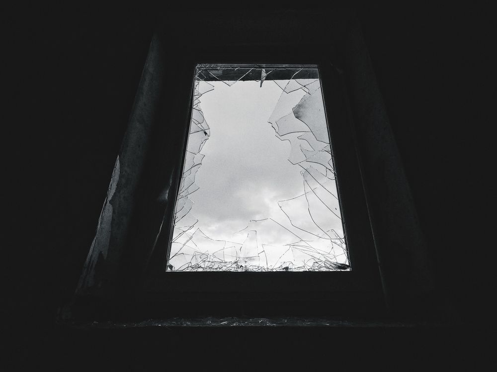 Photo #7487633