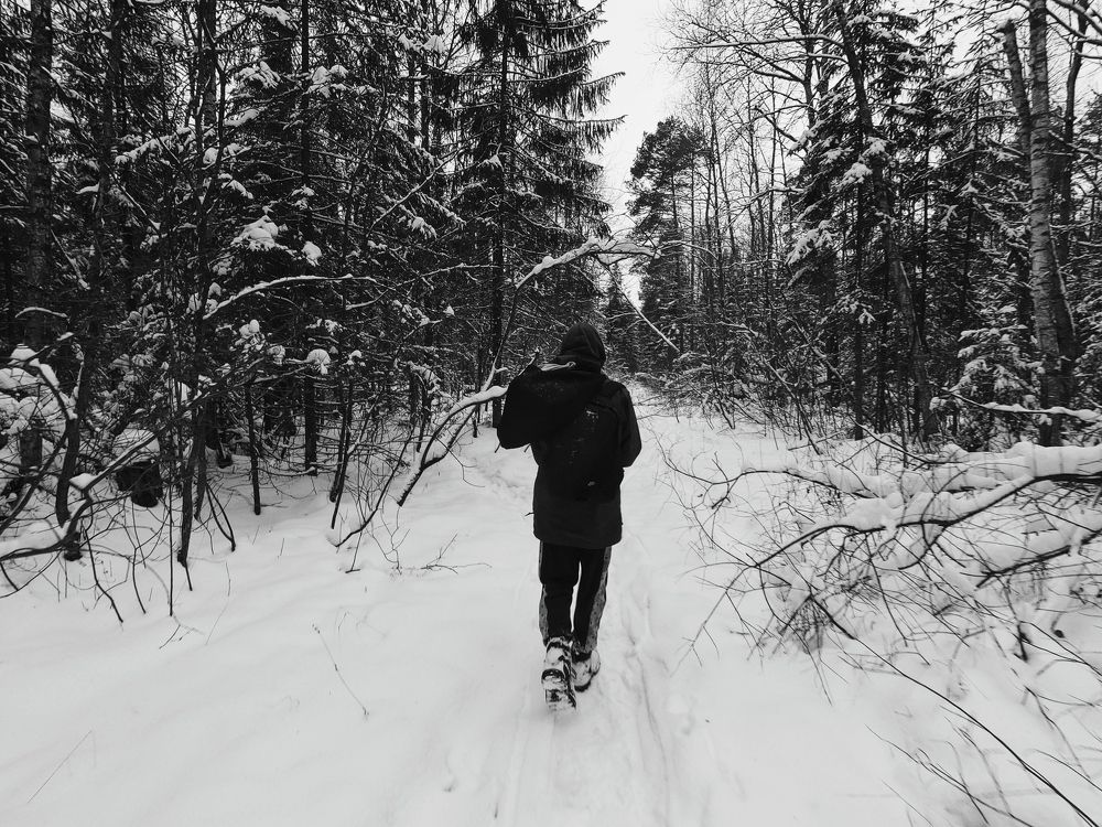 Photograph by Сергей