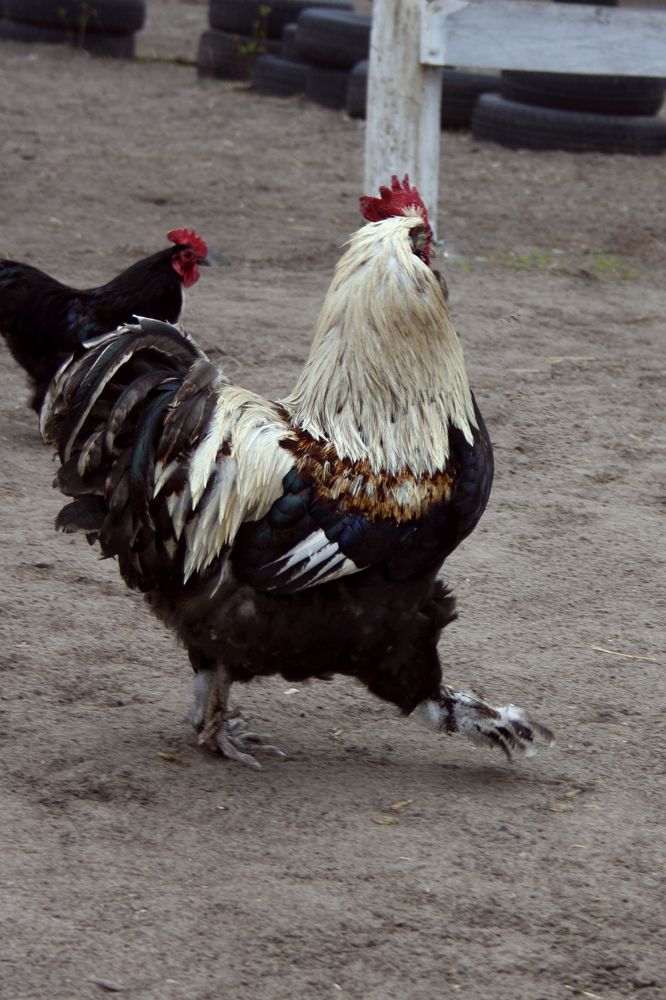 Photograph by Нелли