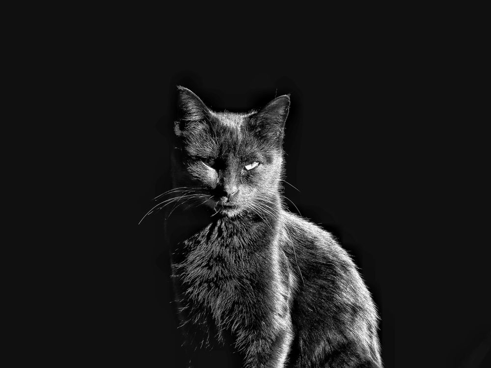 Photograph by Miguel Gonçalves