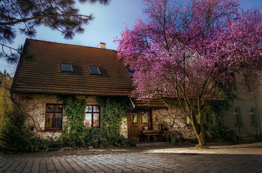 Фотография автора NIghtdream