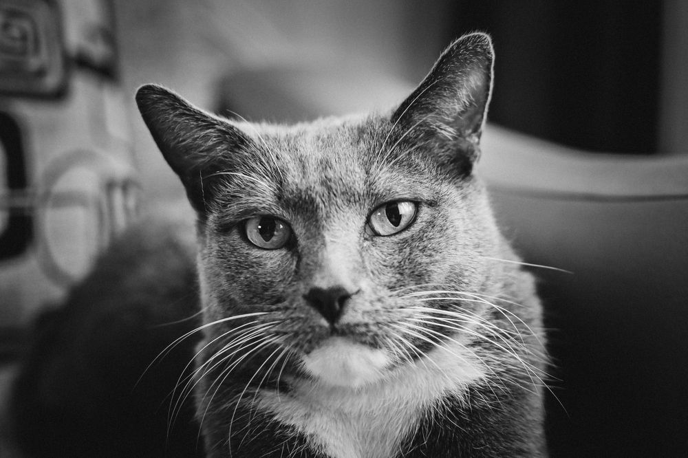 Photograph by Юлия Рыжавина