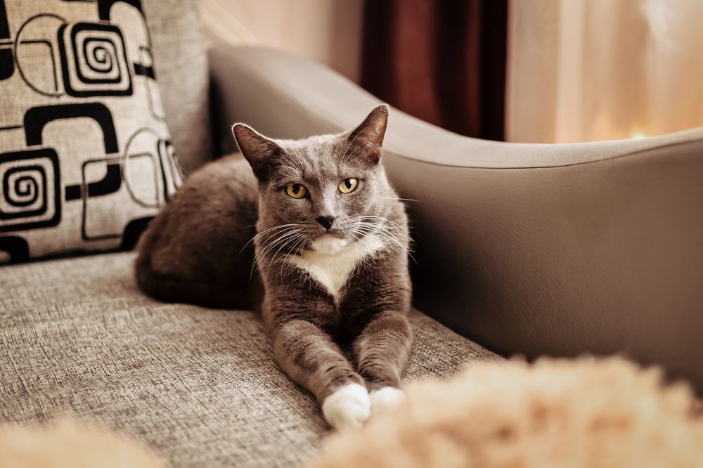 Photograph by Юлия Рыжавина