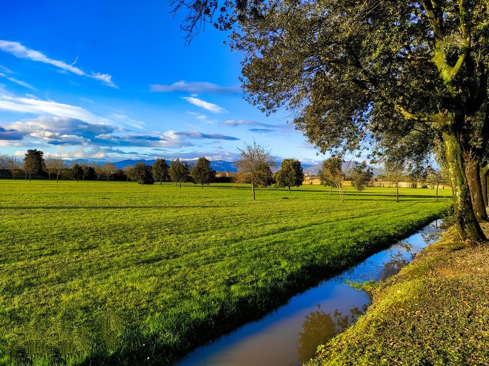 Photograph by SIMONE CIULLI