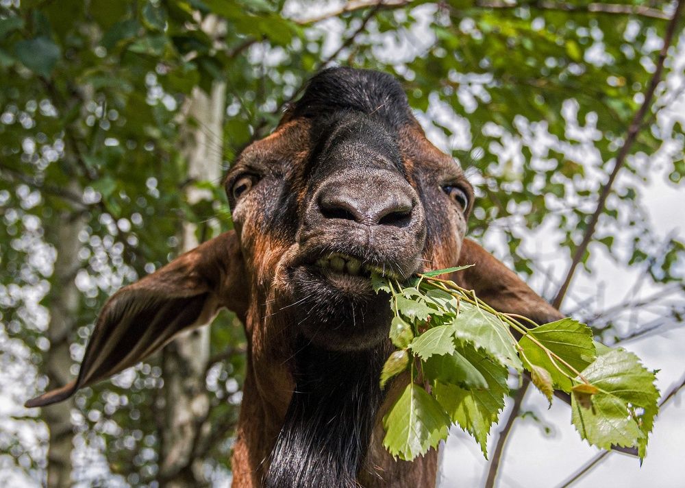 Фотография автора Дмитрий Чуфаров