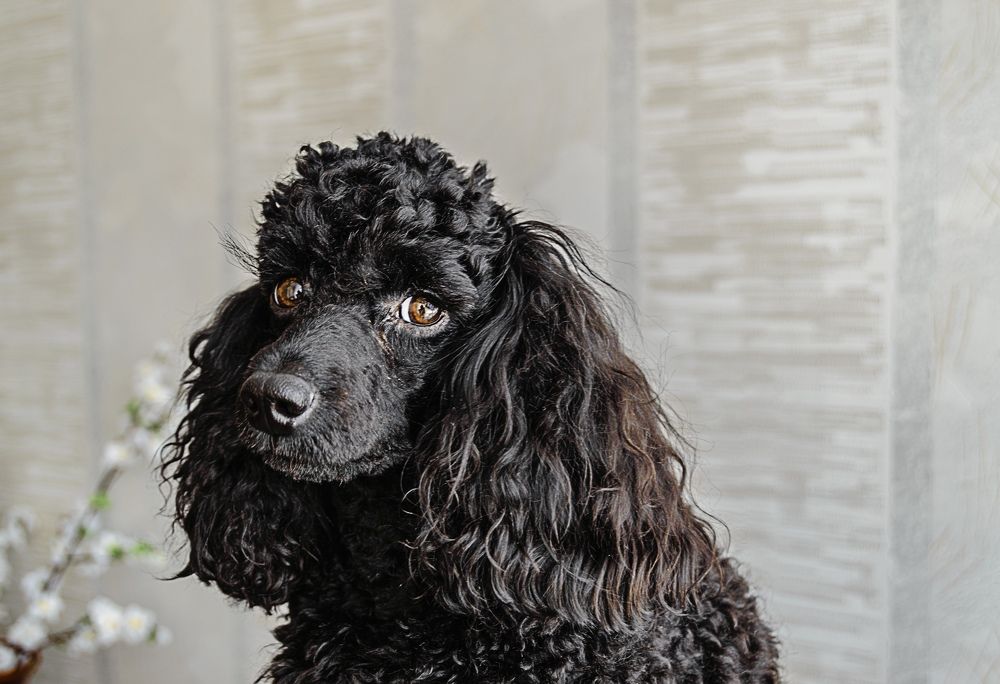 Photograph by Ксения Хачатурова