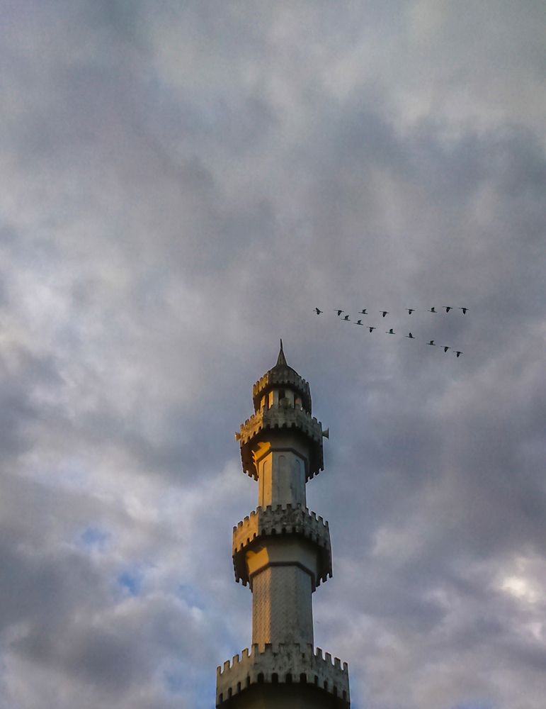 Photograph by TAMIM AL HASAN