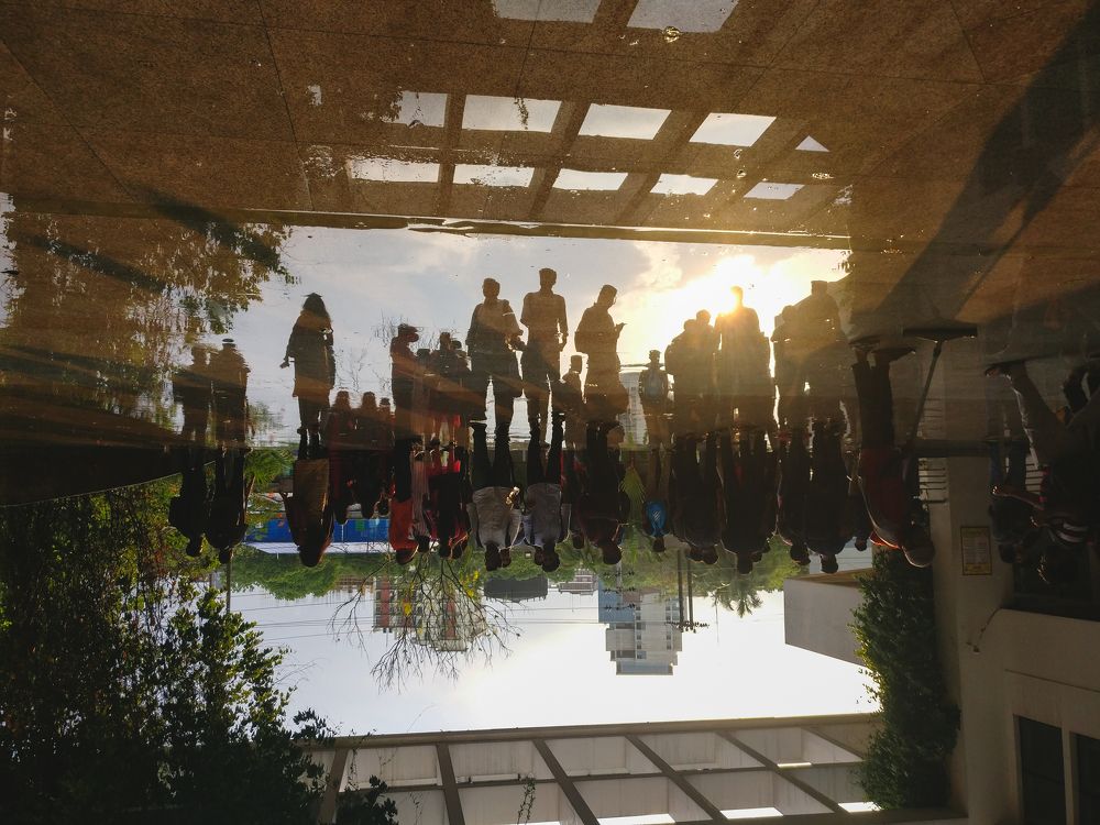Photo #7487772