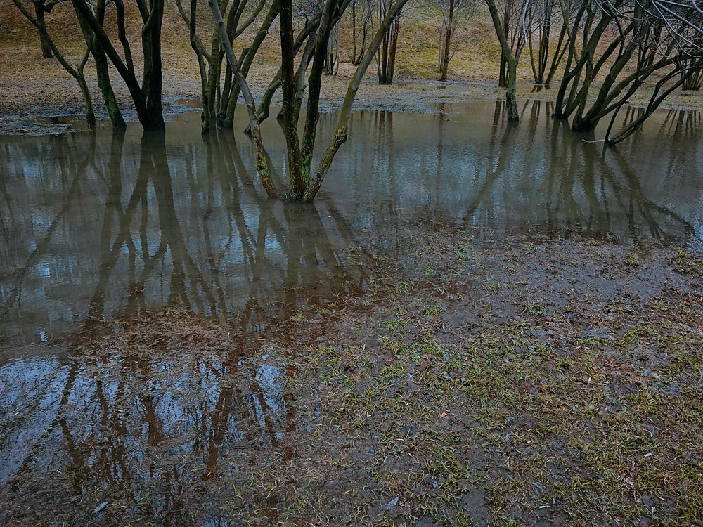 Photograph by Станислав Ситников