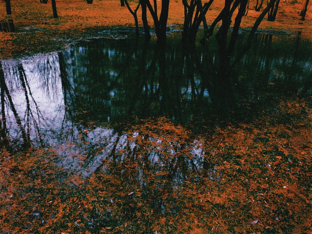 Photograph by Станислав Ситников