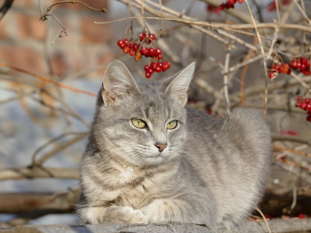 Photograph by Александр Кизим