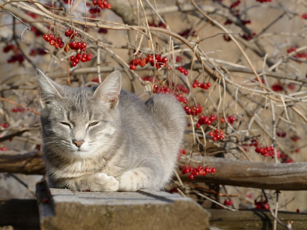 Photograph by Александр Кизим