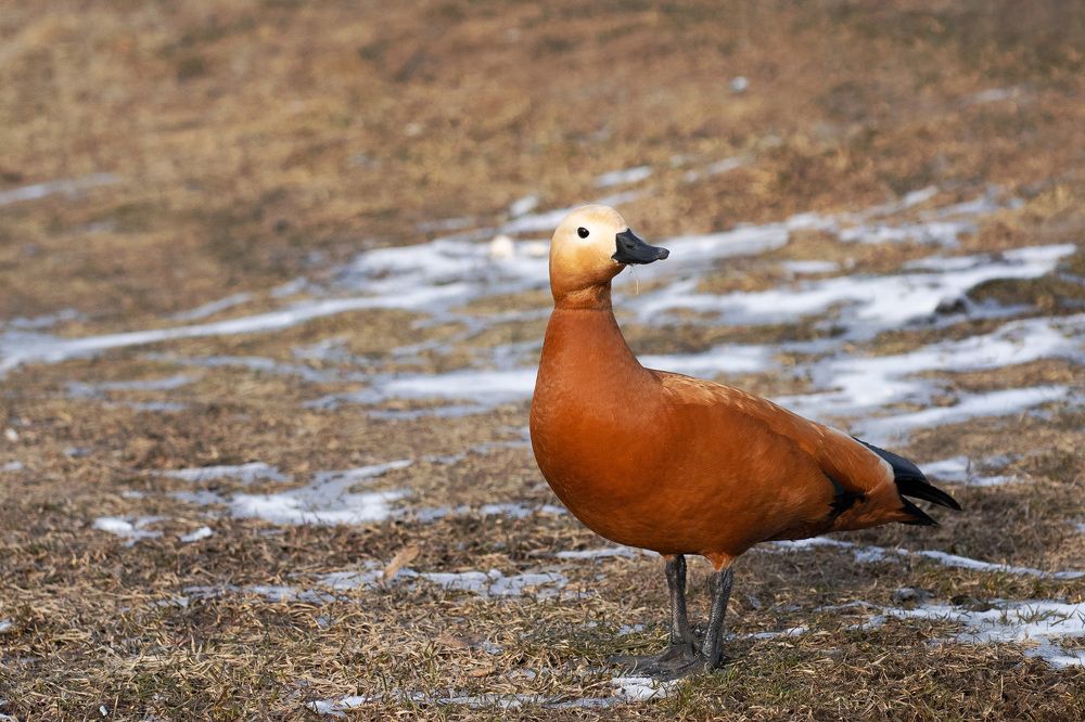 Photograph by Екатерина Панина