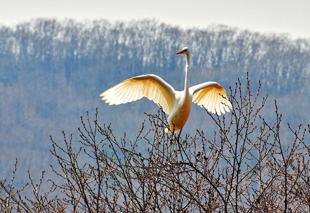 Photograph by Валерий Гончаров