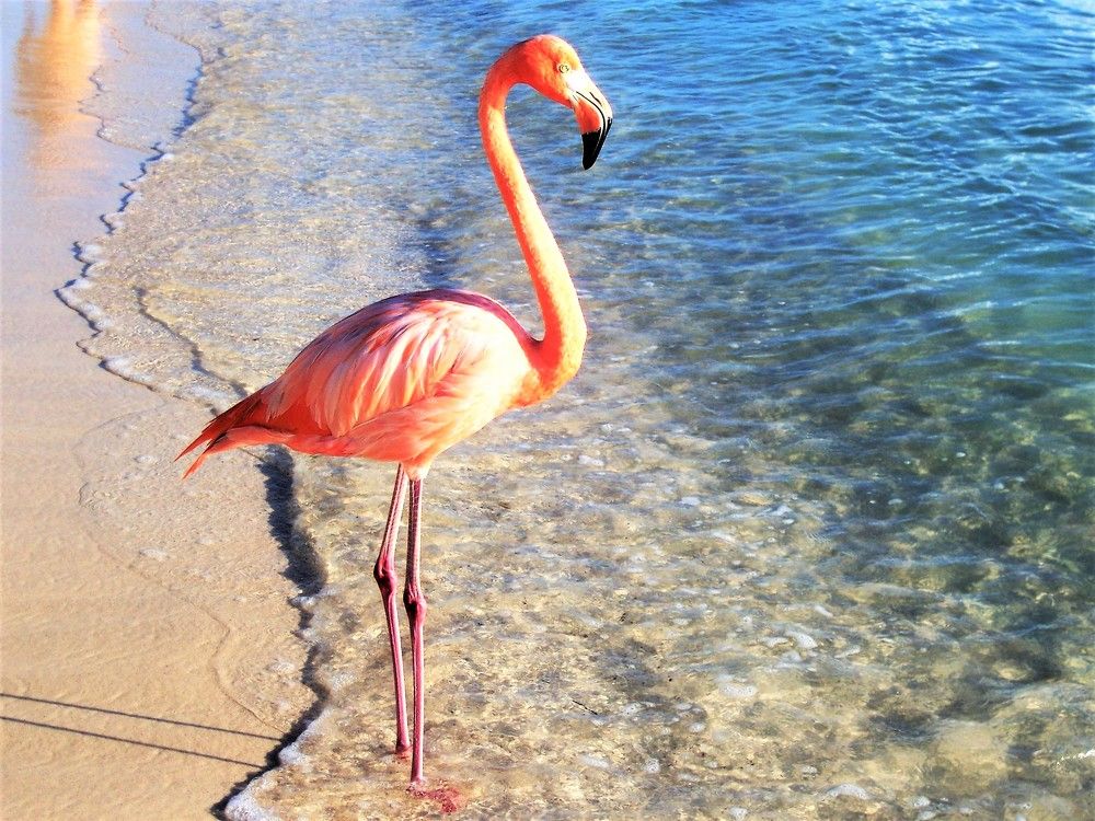 Photograph by Яна Гал