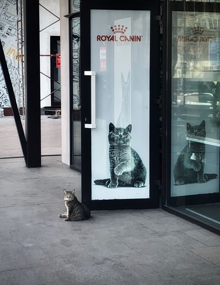 Photograph by Малика Маткарим