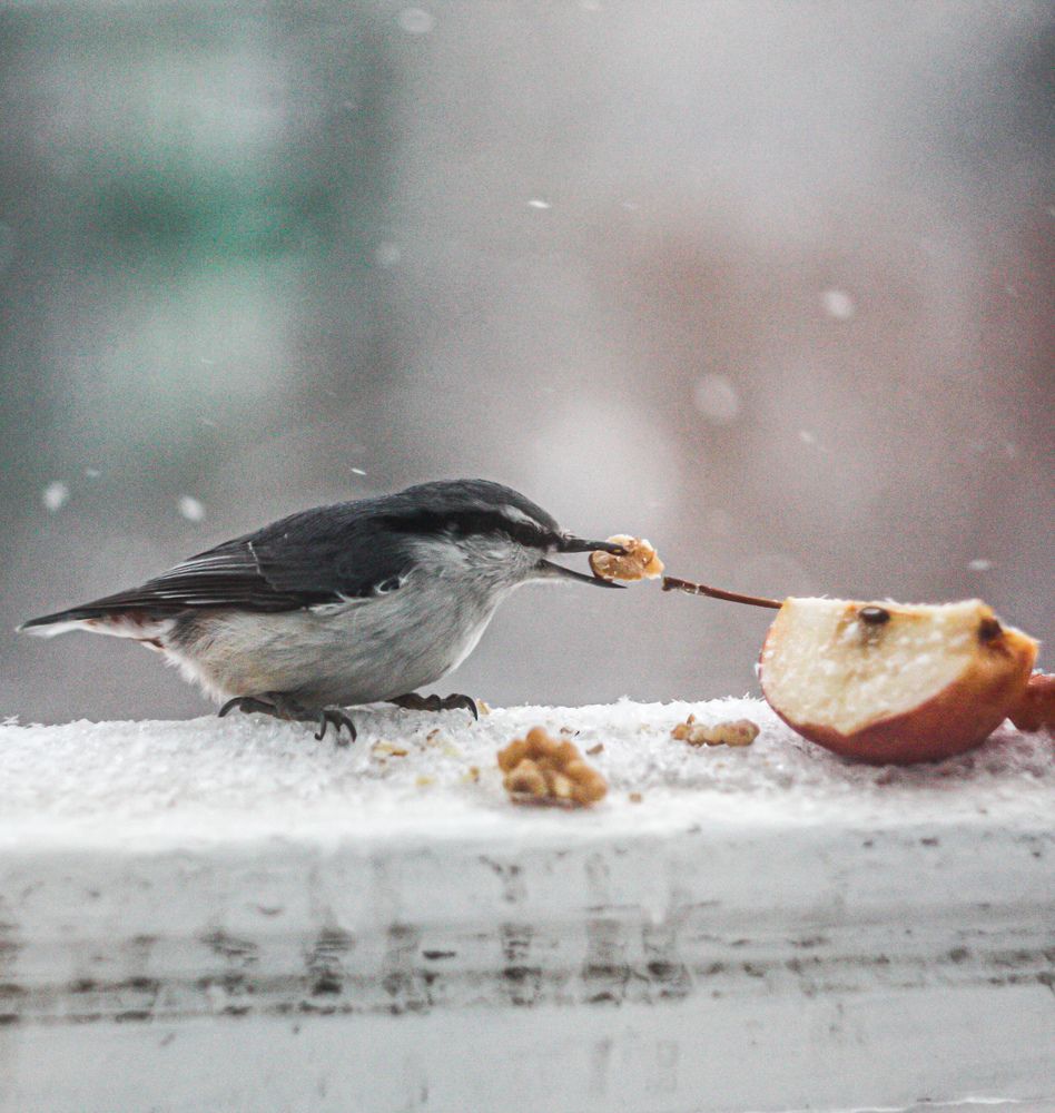 Photograph by Юлия Саморукова