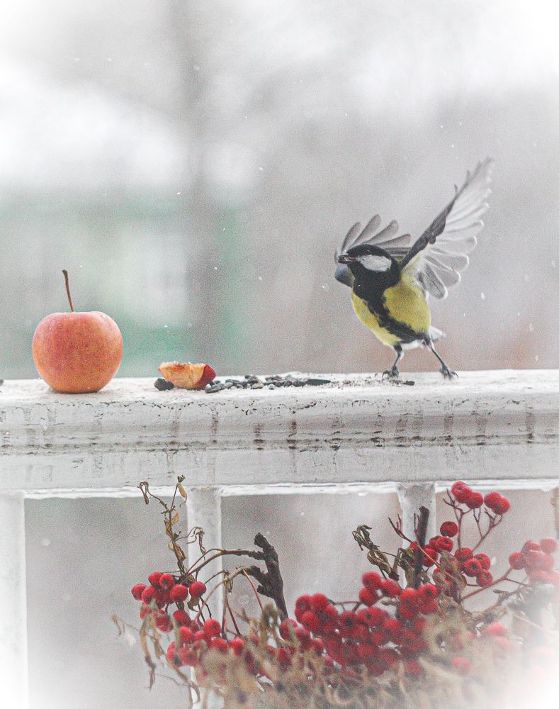 Photograph by Юлия Саморукова